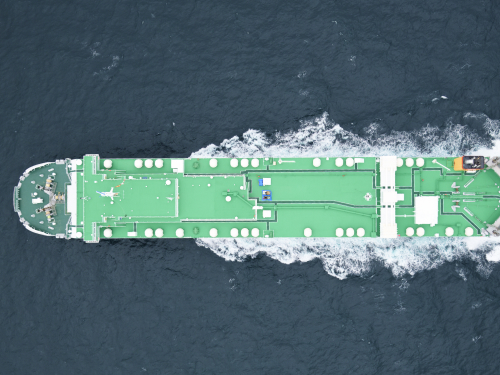 プリンセスベル 6